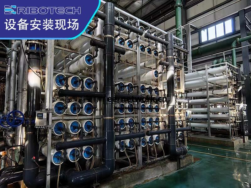 飲(yin)料廠反滲透純水制(zhi)備(bei)系統(tong)